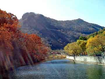 新澳天天开奖资料大全旅游团，弹丸之地章鱼丸